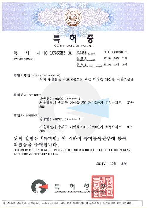 대표특허내역
