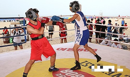 2017년 제19회 전국대학복싱동아리 선수권대회 겸 제15회 생활체육복싱 토너먼트 대회